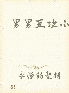 男男互攻小说h
