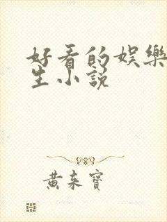 好看的娱乐圈重生小说封面