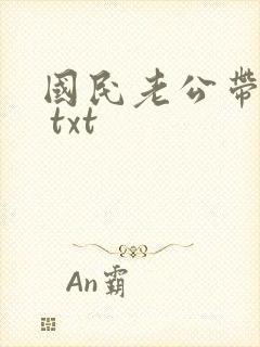 国民老公带回家 txt