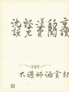 沈轻漾的重生小说免费阅读全文