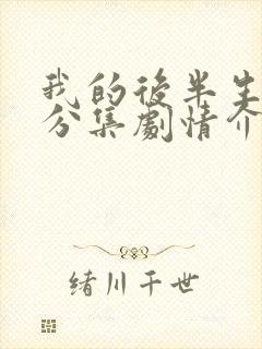 我的后半生剧情分集剧情介绍大结局