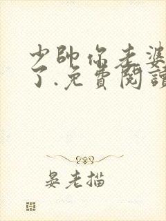 少帅你老婆又跑了.免费阅读