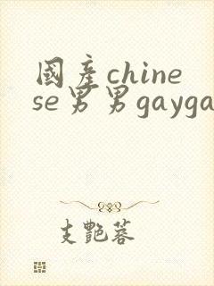 国产chinese男男gaygay网站