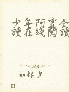 少年阿宾全文阅读在线阅读全文第一季封面