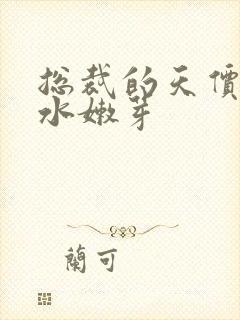 总裁的天价前妻水嫩芽