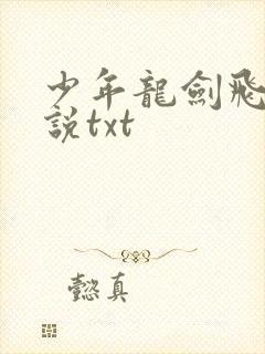 少年龙剑飞 小说txt