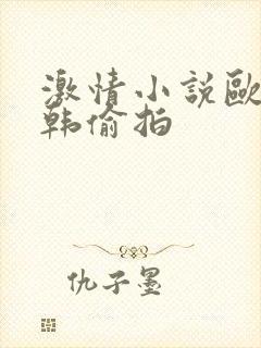 激情小说欧美日韩偷拍