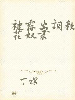 被露出调教的校花奴隶