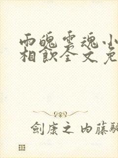 雨魄云魂小说闲相饮全文免费阅读