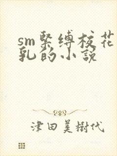 sm紧缚校花双乳的小说