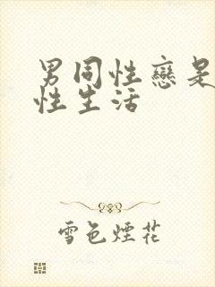 男同性恋是怎么性生活