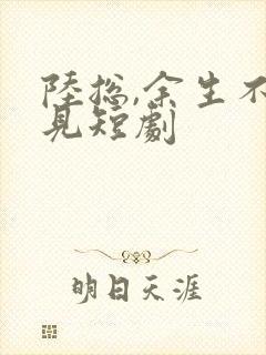 陆总,余生不再见短剧封面