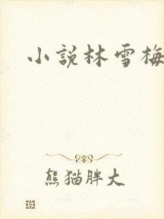 《小说林雪梅》小说封面