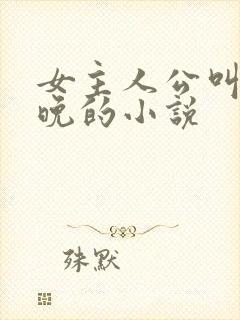 女主人公叫沈星晚的小说