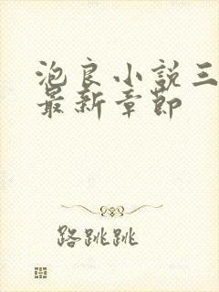 泡良小说三部曲最新章节