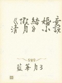 《假结婚竟娶苏清月》小说封面