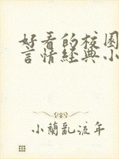 好看的校园小说言情经典小说封面