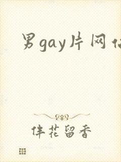 男gay片网站封面
