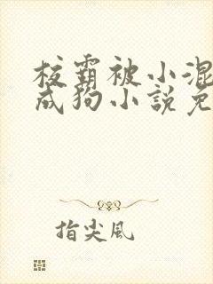 校霸被小混调练成狗小说免费阅读封面