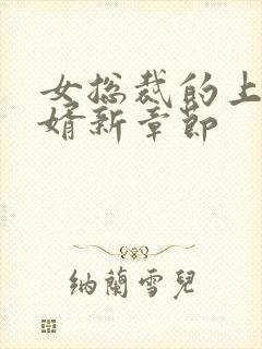 女总裁的上门女婿新章节