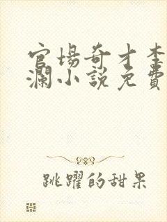 官场奇才李霖李澜小说免费阅读封面