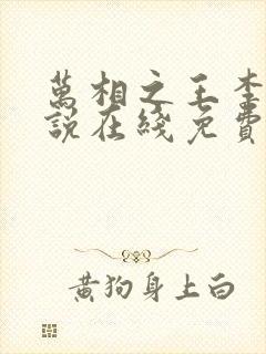 万相之王李洛小说在线免费阅读封面