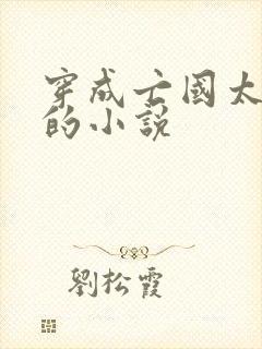 穿成亡国太子妃的小说