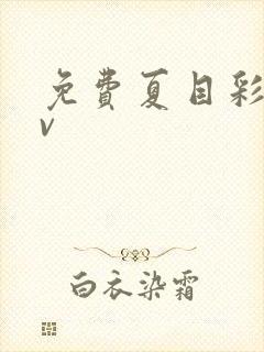 免费夏目彩春av