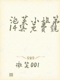 泡芙小姐第六季14集免费观看全集