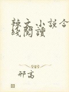 辣文小说合集在线阅读