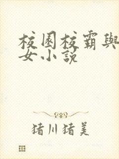 校园校霸与乖乖女小说