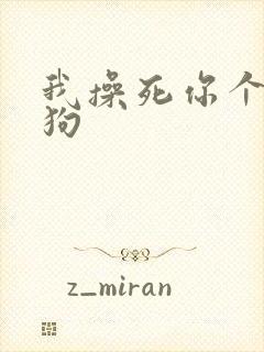 我操死你个骚母狗封面