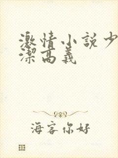 激情小说少妇白洁高义封面