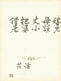 错把丈母娘当成老婆小说免费阅读封面