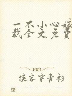 一不小心嫁了总裁全文免费阅读