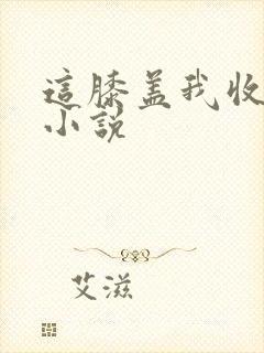 这膝盖我收下了小说