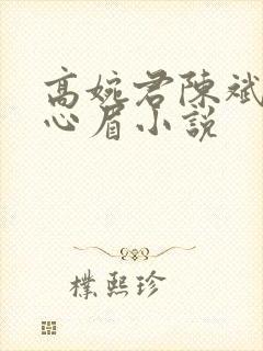 高婉君陈斌和赵心眉小说