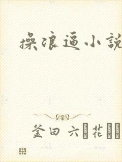 操浪逼小说封面