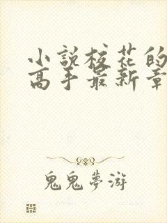 小说校花的贴身高手最新章节在线