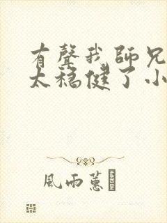 有声我师兄实在太稳健了小说