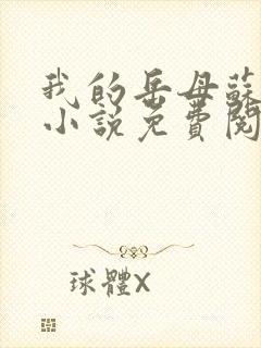 我的岳母苏沛真小说免费阅读