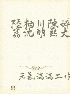 陆柏川陈醉许佳荔沈明熙大结局