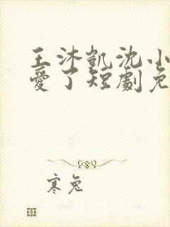 王沐凯沈小姐不爱了短剧免费播放