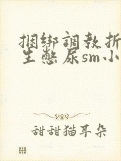 捆绑调教折磨女生憋尿sm小说