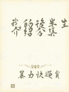 我的后半生剧情介绍分集