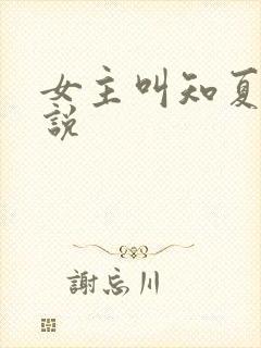 女主叫知夏的小说