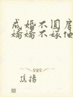 成婚不圆房重生娇娇不嫁他急了全文阅读封面