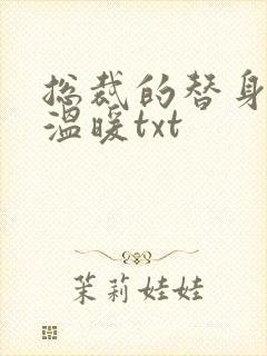 总裁的替身前妻温暖txt