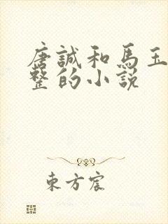 唐诚和马玉婷完整的小说封面