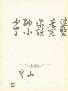 少帅你老婆又跑了小说完整免费